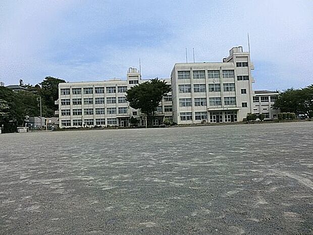 大和市立大和東小学校（約513m）