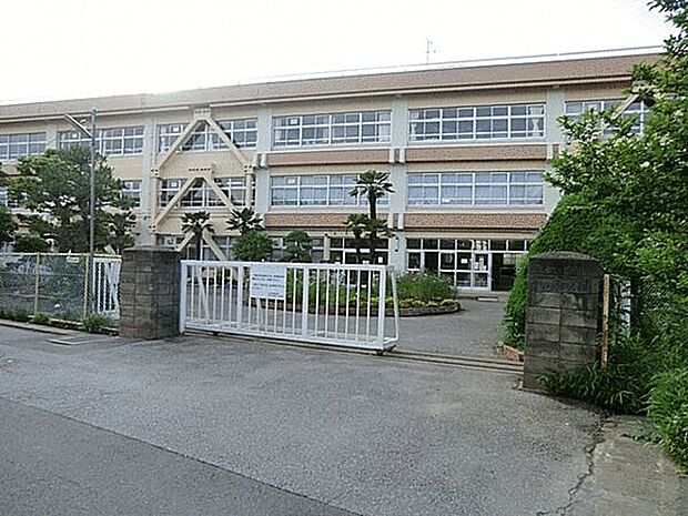 柏市立柏第七小学校(約598m)