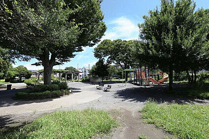 柏木公園 188m