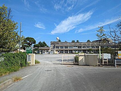 豊四季幼稚園 1131m