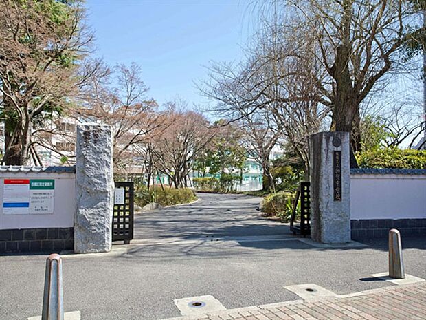 足立区立加賀中学校（約593m）