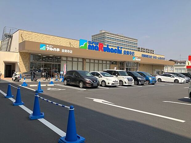 スーパーマルハチ金楽寺店（約888m）
