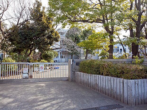 川崎市立小倉小学校(約568m)