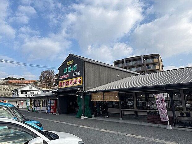 ゆめ畑 筑紫野店（約629m）