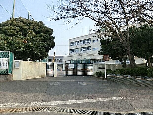 横浜市立中田中学校(約642m)