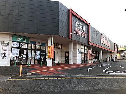 ハローデイ 次郎丸店 587m