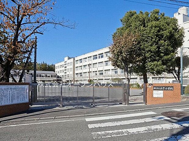 横浜市立山下小学校（約1,264m）