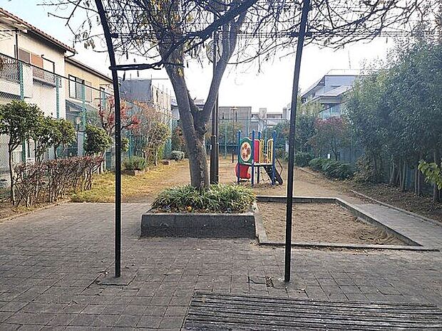 大畑公園(約708m)