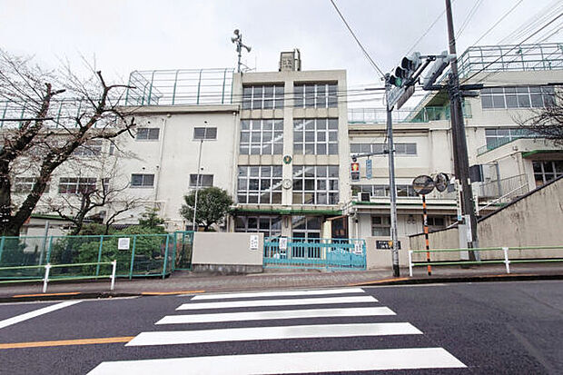 大田区立池雪小学校（約239m）