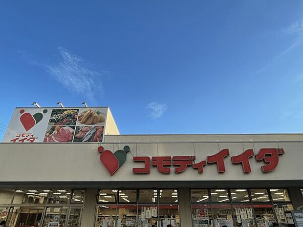 コモディイイダ平井店(約691m)