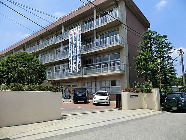 朝霞市立朝霞第三中学校(約669m)