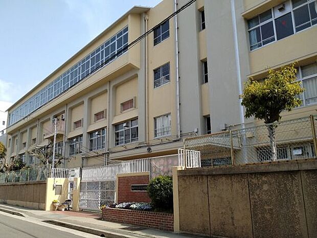 神戸市立鷹取中学校(約338m)