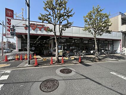 ヤマイチ小岩店 453m