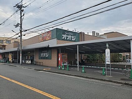 スーパーオオジ安堂寺店 920m