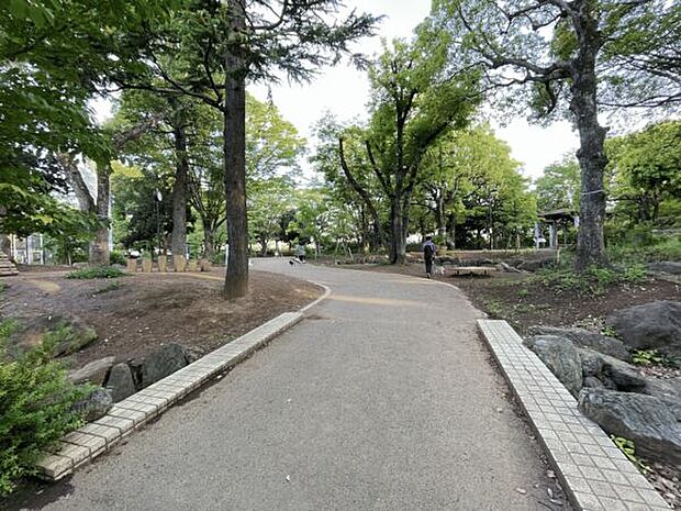 中野区立 平和の森公園(約339m)