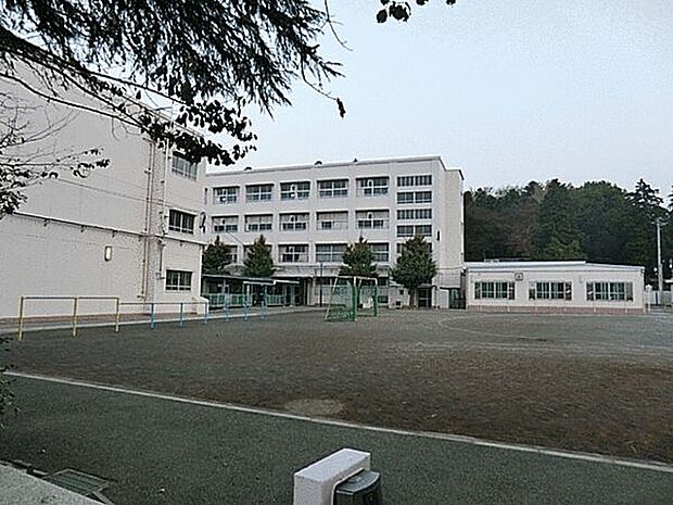 横浜市立岡津小学校(約447m)