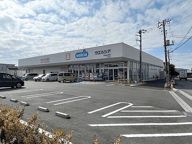 ウエルシア太田台之郷店(約852m)