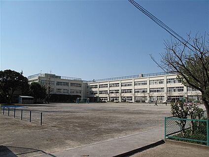 杉並区立高井戸第二小学校 175m