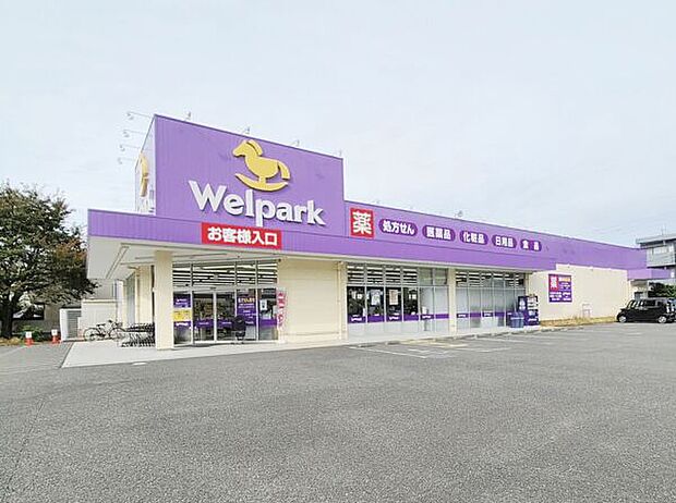 ウェルパーク国分寺西町店（約636m）