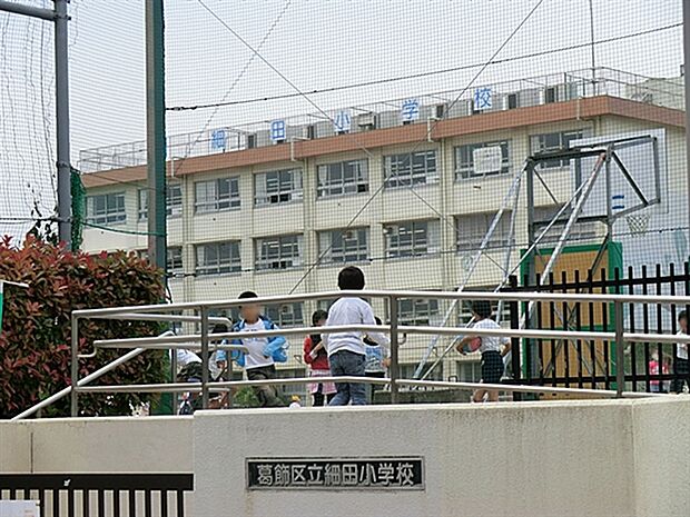 葛飾区立細田小学校（約795m）