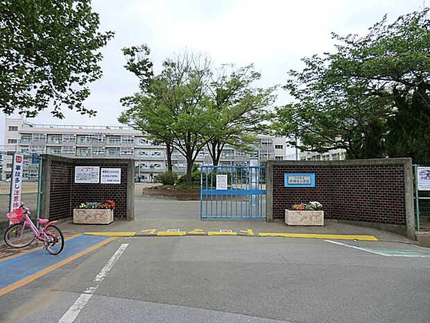 川口市立新郷東小学校（約976m）