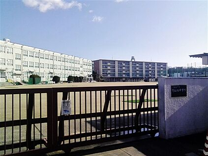 川上公園 990m