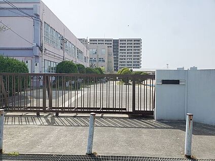 高槻市立松原小学校 548m
