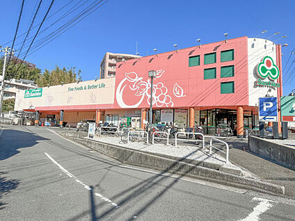 三徳 高田店 580m