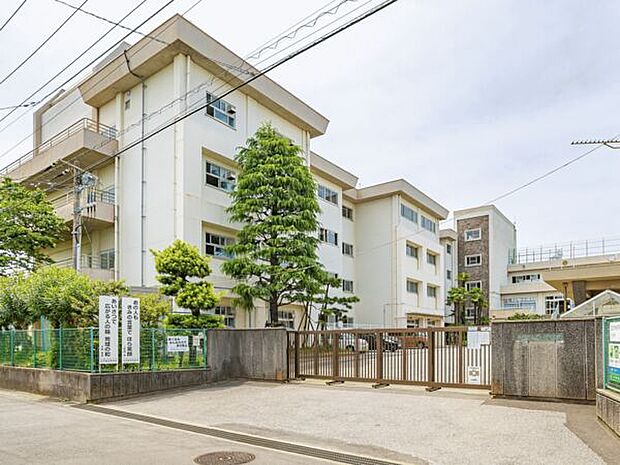 市川市立第八中学校（約300m）