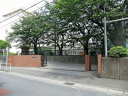 藤沢市立新林小学校 1153m