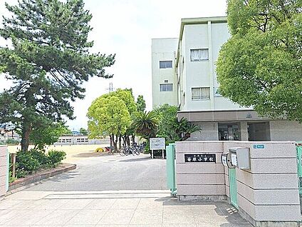 伊丹市立笹原小学校 526m