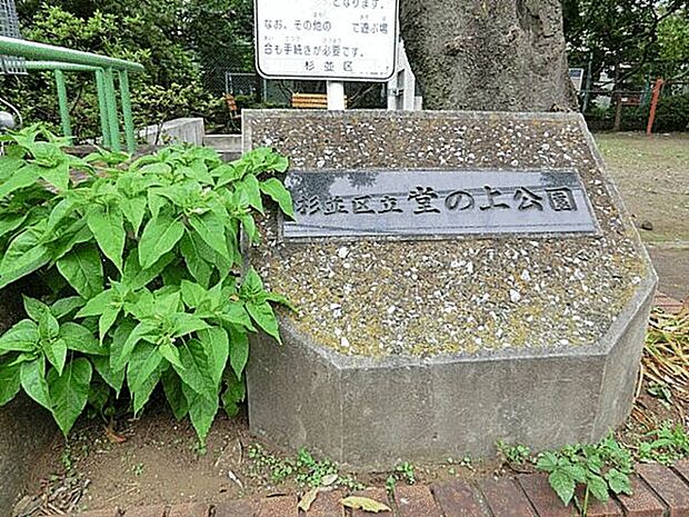 杉並区立堂の上公園（約890m）