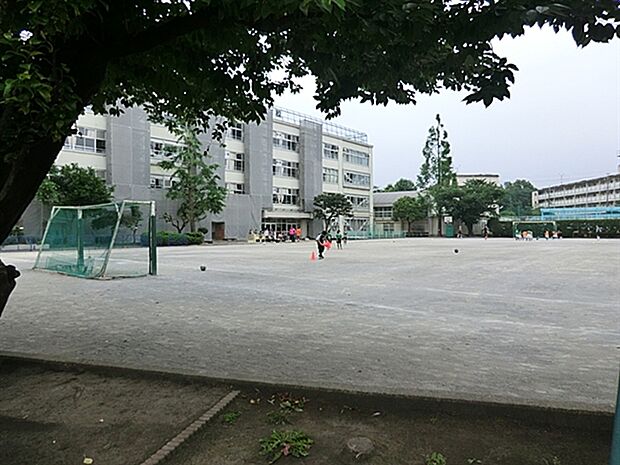 杉並区立高井戸東小学校（約569m）