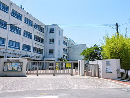 高槻市立津之江小学校 561m