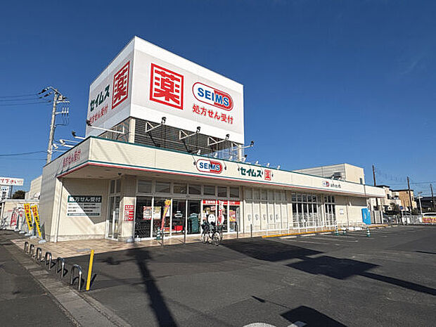 ドラッグセイムス越谷大里2号店(約1,250m)