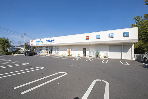 ウエルシア大泉古氷店(約2,476m)
