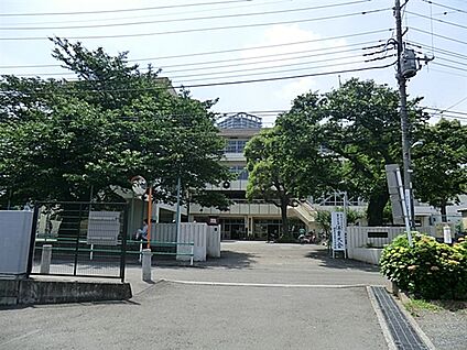 神代クリニック 433m