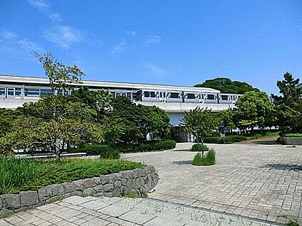 シーサイドライン「海の公園柴口」駅 720m