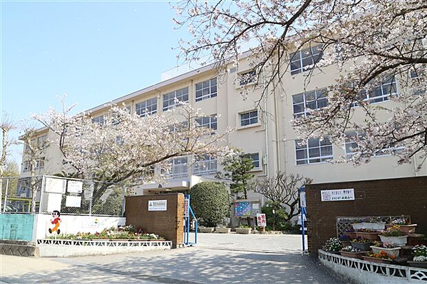 福岡市立城南小学校(約978m)