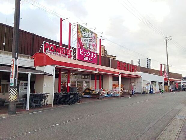 ビッグリブ 安城店（約1,009m）