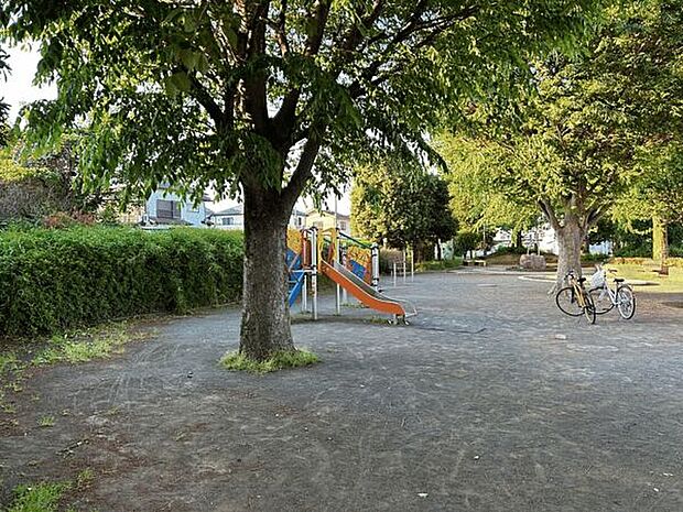 練馬区立泉新公園(約699m)