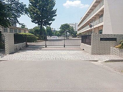 相模原市立橋本小学校 303m