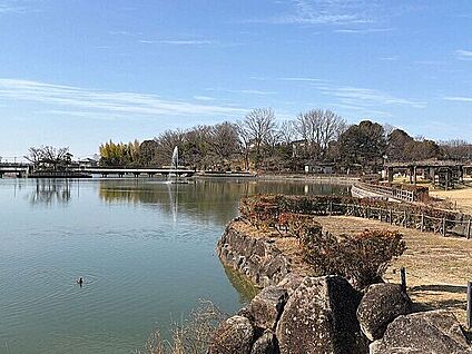 城山公園 249m