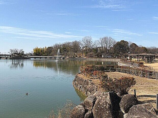 城山公園（約249m）