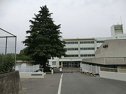 流山市立向小金小学校 123m