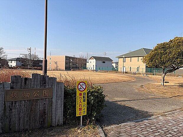 三崎水辺公園（約920m）