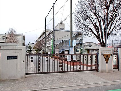 横浜市立市場小学校 137m