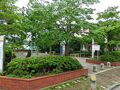 こぶし公園 504m