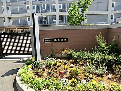 川崎市立橘中学校 528m
