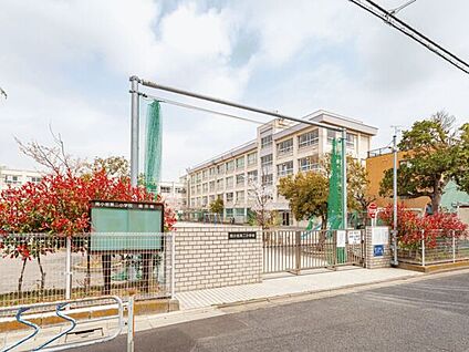 江戸川区立南小岩第二小学校 579m